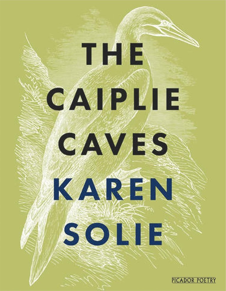 Karen Solie - Caiplie Caves, Häftad