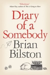 bokomslag Diary of a Somebody