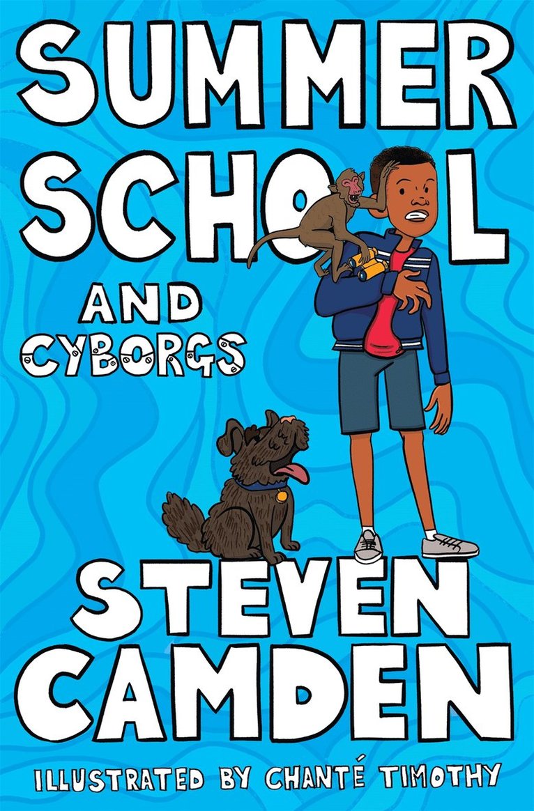 Steven Camden - Summer School and Cyborgs, Häftad