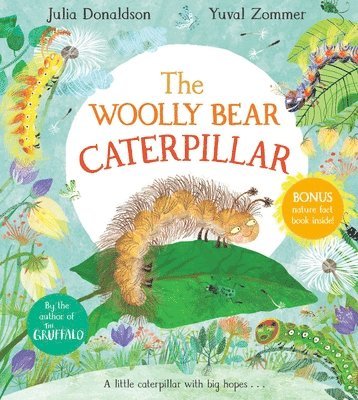 bokomslag Woolly Bear Caterpillar