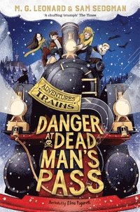 bokomslag Danger at Dead Man's Pass