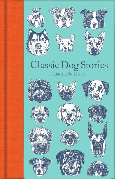 bokomslag Classic Dog Stories