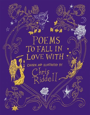 bokomslag Poems to Fall in Love With