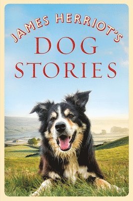 bokomslag James Herriot's Dog Stories