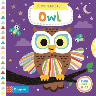 bokomslag My Magical Owl