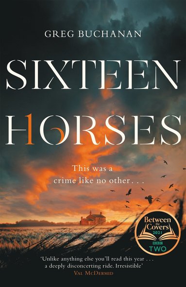 bokomslag Sixteen Horses
