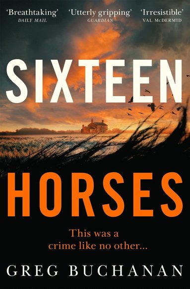bokomslag Sixteen Horses