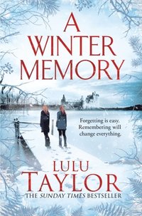 bokomslag A Winter Memory