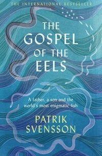 bokomslag Gospel Of The Eels
