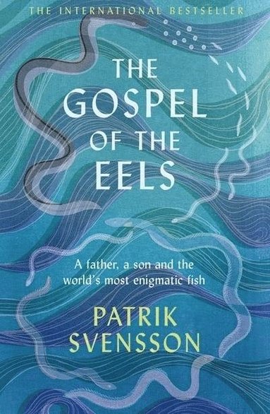 bokomslag The Gospel of the Eels