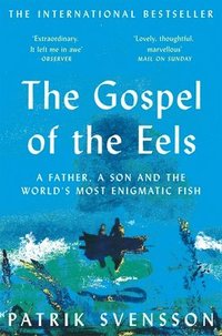 bokomslag The Gospel of the Eels: A Father, a Son and the World's Most Enigmatic Fish