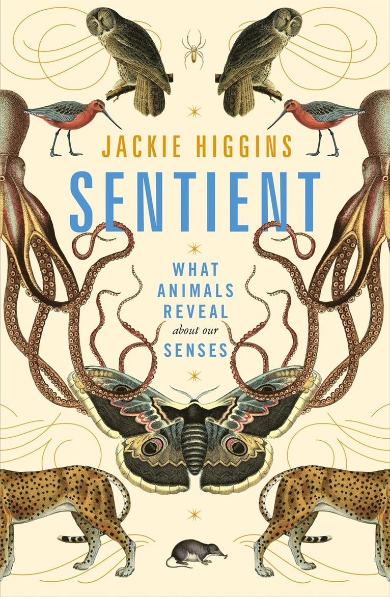 Jackie Higgins - Sentient, Inbunden