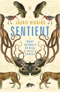 bokomslag Sentient: What Animals Reveal About Our Senses