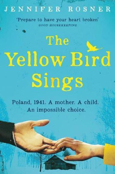 bokomslag Yellow Bird Sings