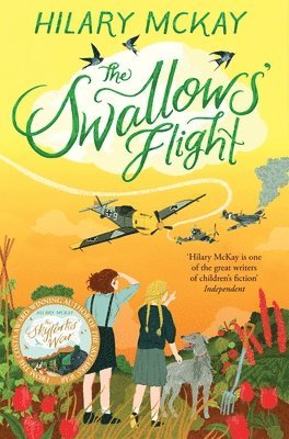 bokomslag Swallows' Flight