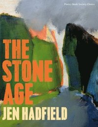 bokomslag The Stone Age