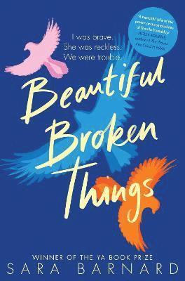 Beautiful Broken Things 1