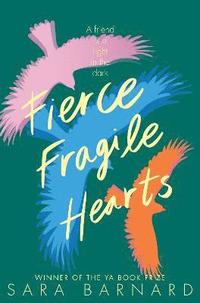 bokomslag Fierce Fragile Hearts
