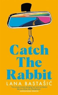 bokomslag Catch the Rabbit