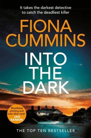 Fiona Cummins - Into the Dark, Häftad