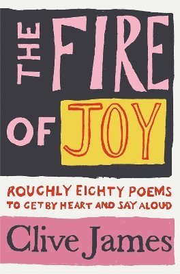 bokomslag Fire of Joy