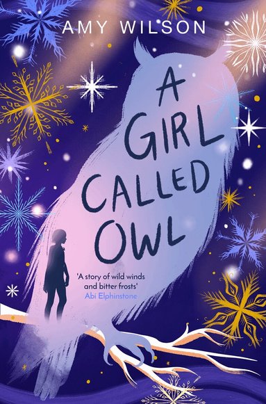 Amy Wilson - Girl Called Owl, Häftad