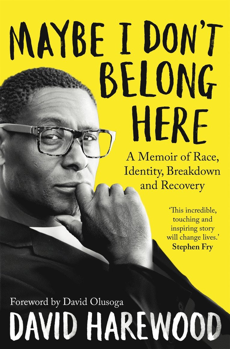 David Harewood - Maybe I Don't Belong Here, Häftad