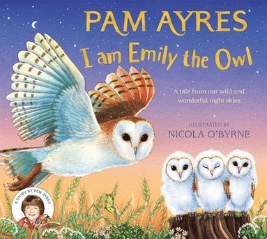 bokomslag I am Emily the Owl