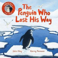 bokomslag Penguin Who Lost His Way