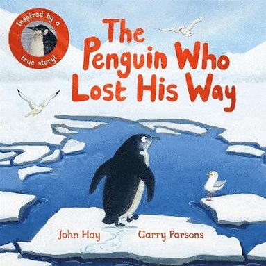 bokomslag Penguin Who Lost His Way