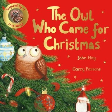 bokomslag The Owl Who Came for Christmas