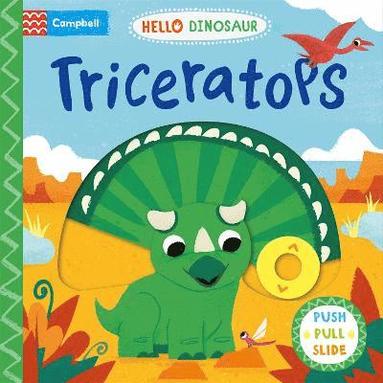 bokomslag Triceratops