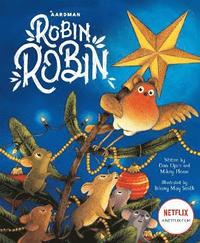 bokomslag Robin Robin