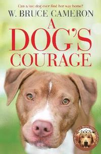 bokomslag A Dog's Courage