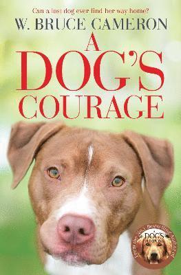 bokomslag A Dog's Courage