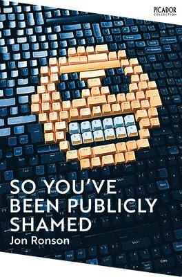 So You've Been Publicly Shamed 1