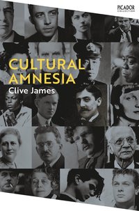 bokomslag Cultural Amnesia