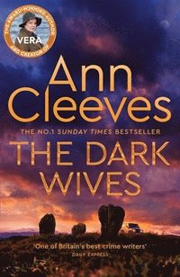bokomslag The Dark Wives