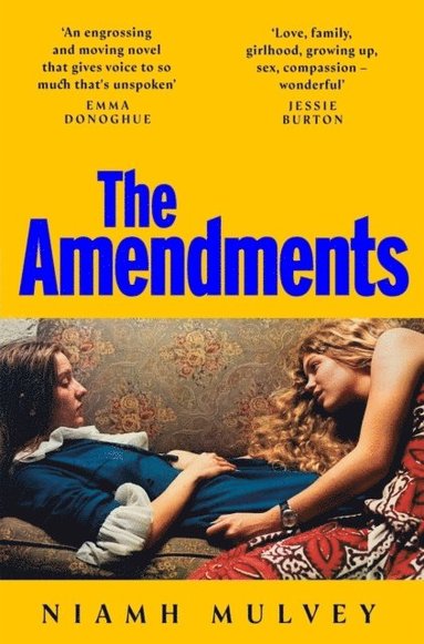 bokomslag Amendments