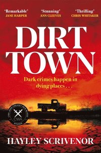 bokomslag Dirt Town