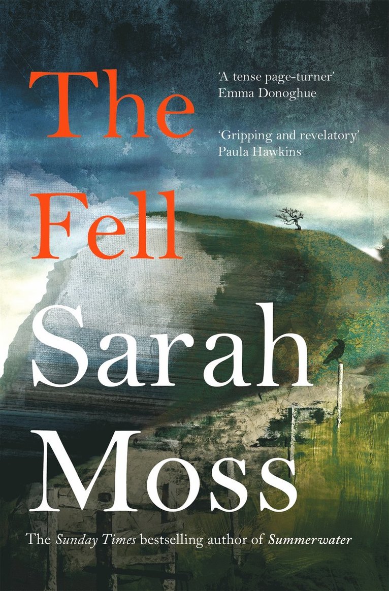 Sarah Moss - Fell, Häftad