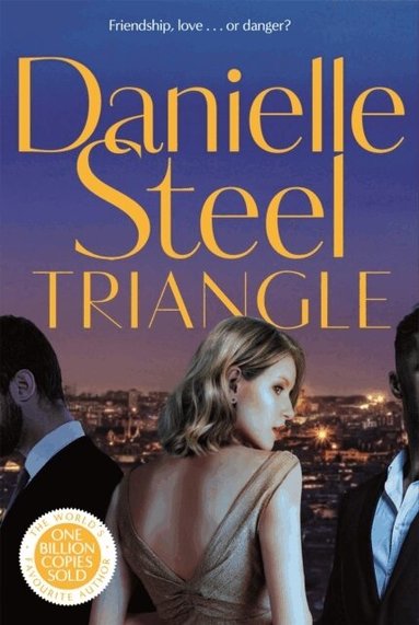 Danielle Steel - Triangle, Häftad