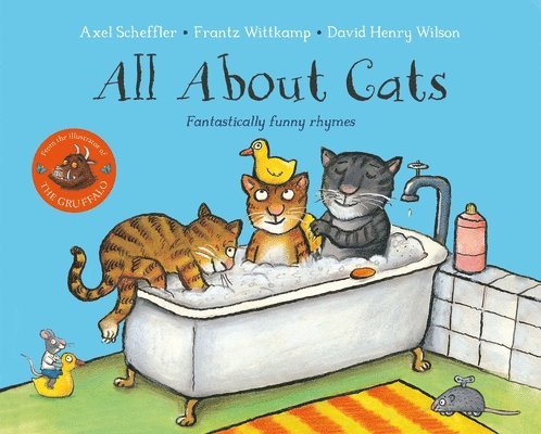 All About Cats 1