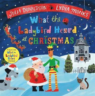 bokomslag What the Ladybird Heard at Christmas