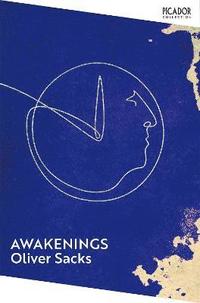 bokomslag Awakenings
