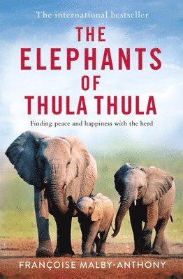 The Elephants of Thula Thula 1