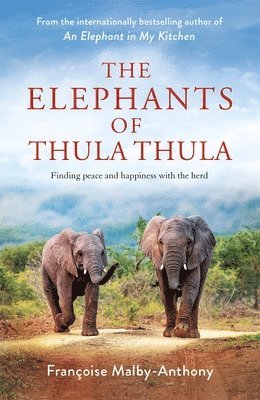 bokomslag Elephants of Thula Thula