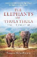 bokomslag Elephants Of Thula Thula
