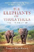 Elephants Of Thula Thula 1