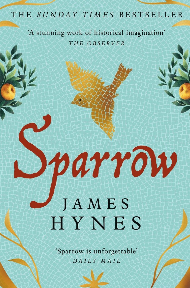 James Hynes - Sparrow, Häftad
